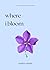 where i bloom by Marina Aimée