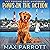 Paws in the Action (Pet Psychic Cozy Mysteries, #1)