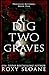 Dig Two Graves (Priceless Revenge)