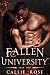Fallen University: Year Two (Fallen University, #2)
