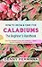 Caladium Gardening for Begi...