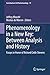 Phenomenology in a New Key:...