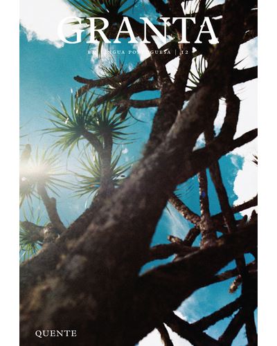 Granta em Língua Portuguesa 12: Quente