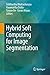 Hybrid Soft Computing for Image Segmentation