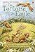 The Tortoise and the Eagle (Usborne First Reading Level 2)