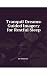 Tranquil Dreams: Guided Ima...