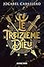 Le Treizième Dieu (French Edition)