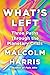 What's Left: Three Paths Through the Planetary Crisis
