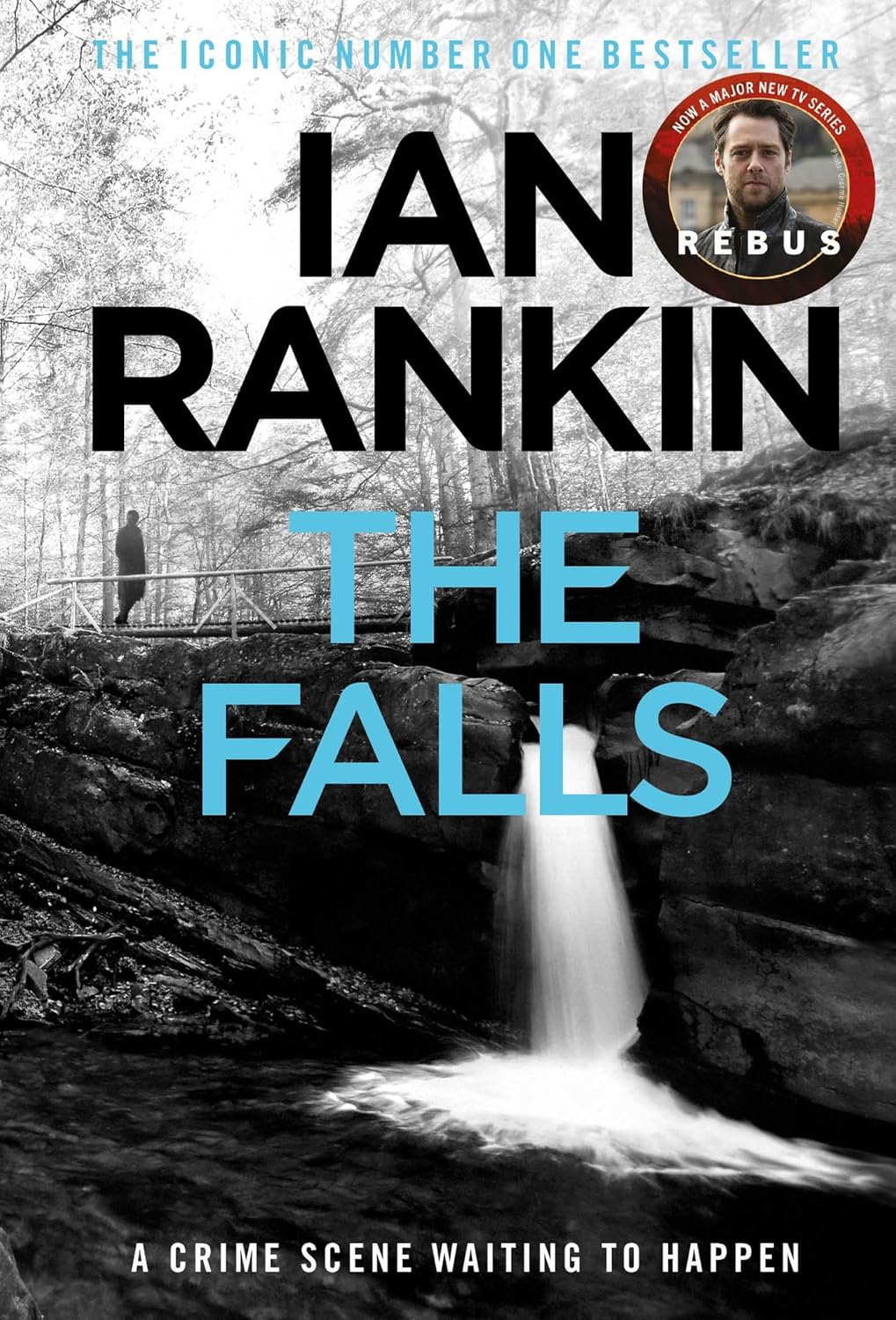 The Falls (Inspector Rebus, #12)