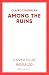 Among the Ruins by Claire  Coughlan