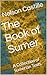 The Book of Sumer by Nelson Castille