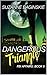 Dangerous Triangle by Suzanne Baginskie
