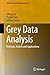 Grey Data Analysis: Methods, Models and Applications (Computational Risk Management)