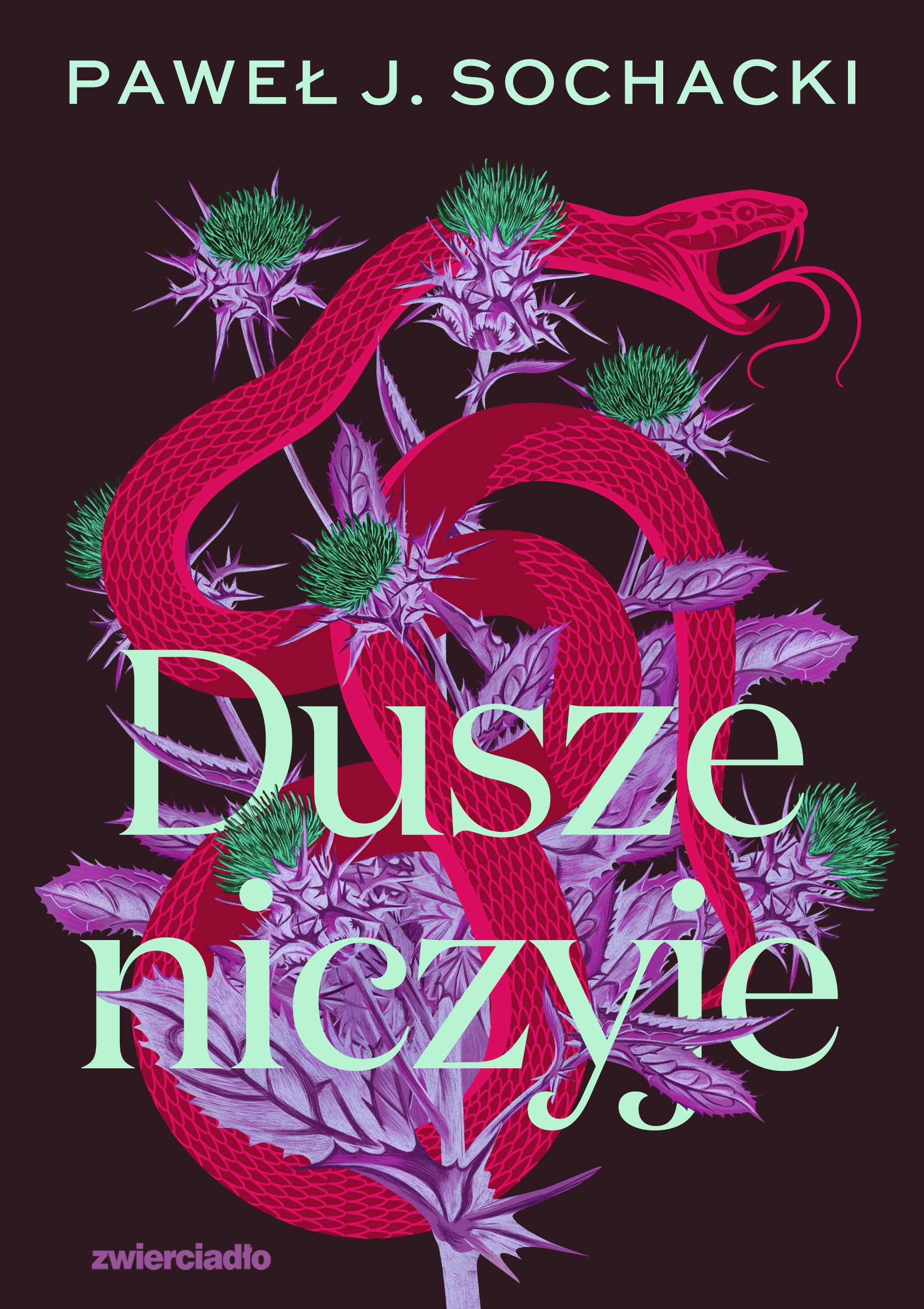 Dusze niczyje (Hardcover)