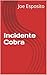 Incidente Cobra:Kindle libr...
