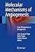 Molecular Mechanisms of Angiogenesis: From Ontogenesis to Oncogenesis