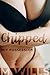 Chipped: MtF Possession