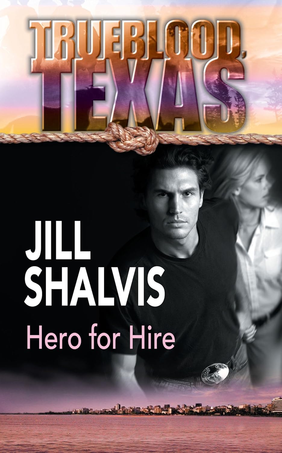 Hero for Hire (Trueblood, Texas, #13)