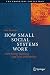 How Small Social Systems Wo...