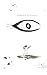 The Shape of Your Eyes. by Theron Maynard