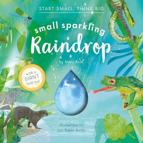 Small Sparkling Raindrop (Start Small, Think Big #5)