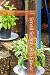 Small Space, Big Flavor: Co...
