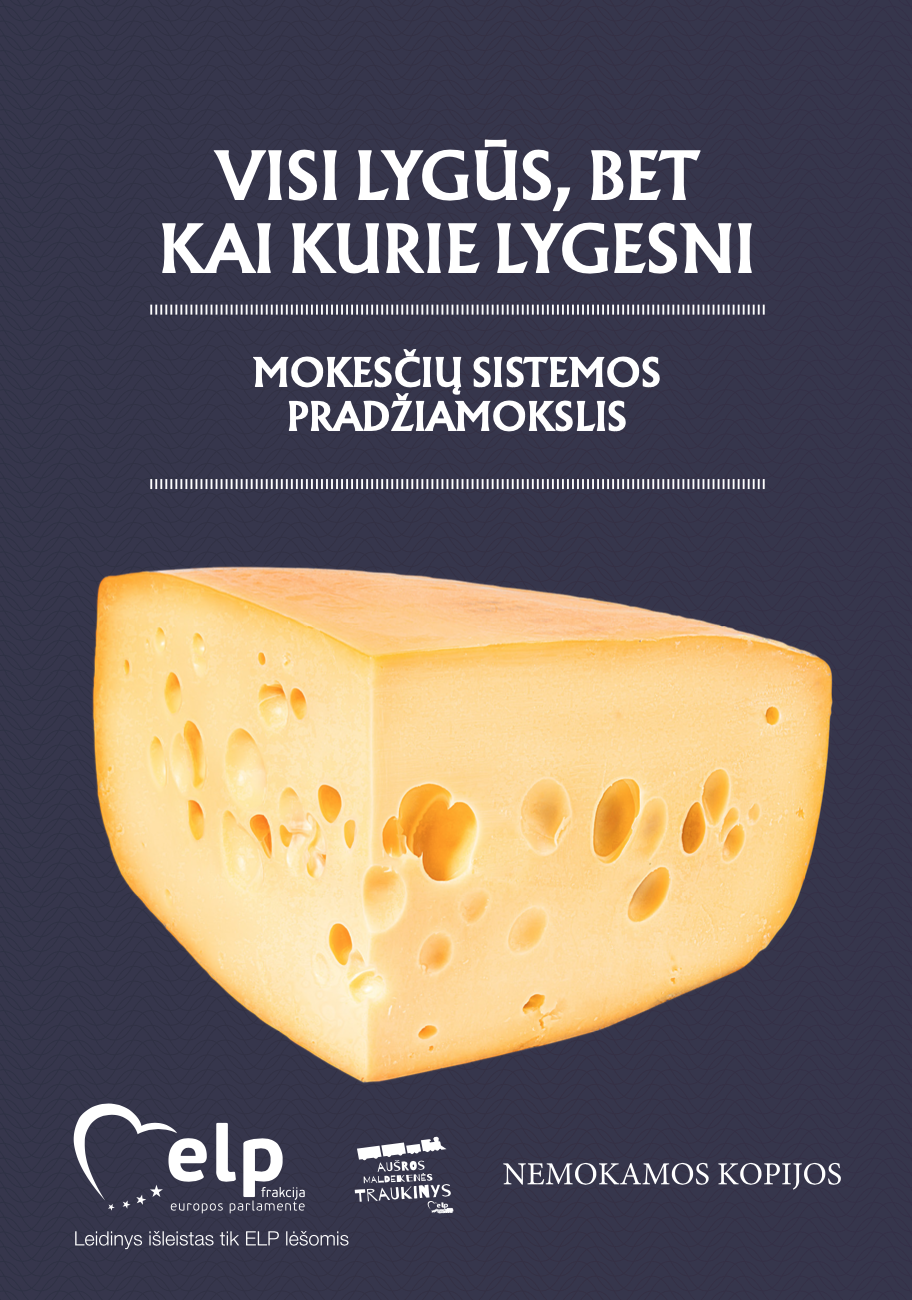 Visi lygūs, bet kai kurie lygesni: mokesčių sistemos pradžiamokslis
