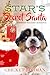 Star's Secret Santa: A Swee...
