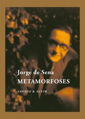 Metamorfoses (Paperback)