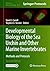 Developmental Biology of the Sea Urchin and Other Marine Invertebrates: Methods and Protocols (Methods in Molecular Biology Book 2219)