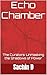 Echo Chamber by Sachin D