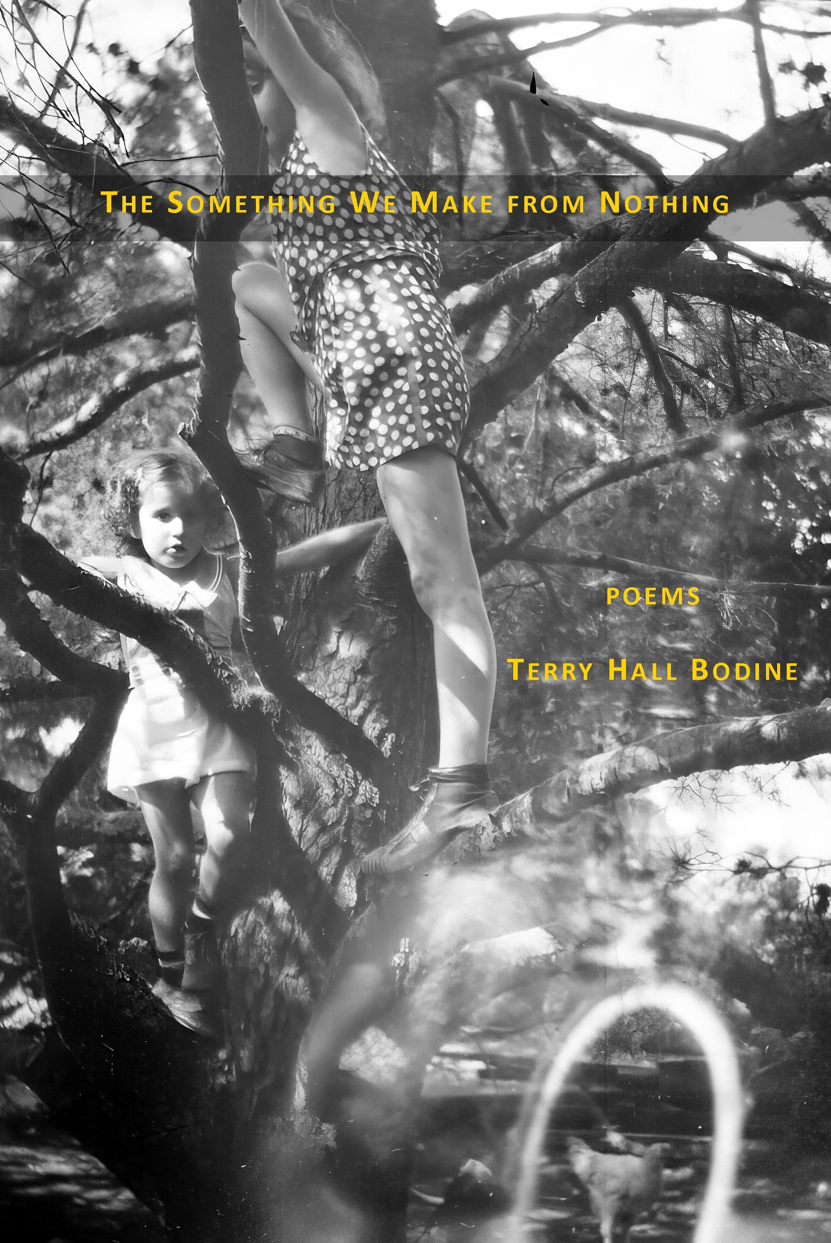 The Something We Make from Nothing (A.V. Christie Series, #4)