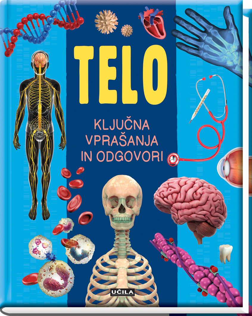 Telo : ključna vprašanja in odgovori (Hardcover)