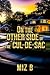 On the Other Side of the Cul-de-Sac by Miz B On the Other Side of the Cul-de-Sac by Miz B