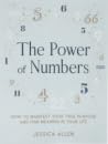 The Power of Numbers