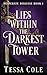 Lies Within the Darkest Tower (Desperate Disguise)