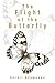 The Flight of the Butterfly