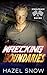 Wrecking Boundaries (SteelT...