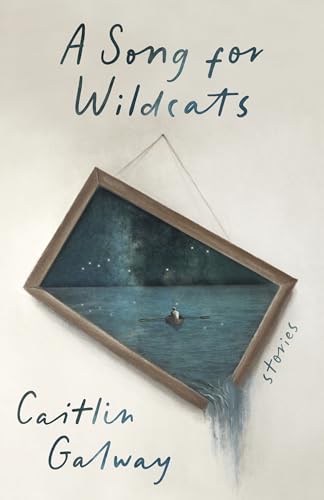 A Song for Wildcats (Paperback)