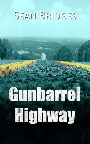 Gunbarrel Highway (Kindle Edition)