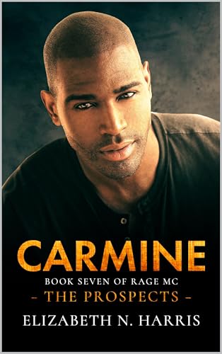 Carmine (Rage MC - The Prospects Book 7)