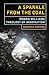 The Sparkle from the Coal: Rowan Williams' Theology of Imagination