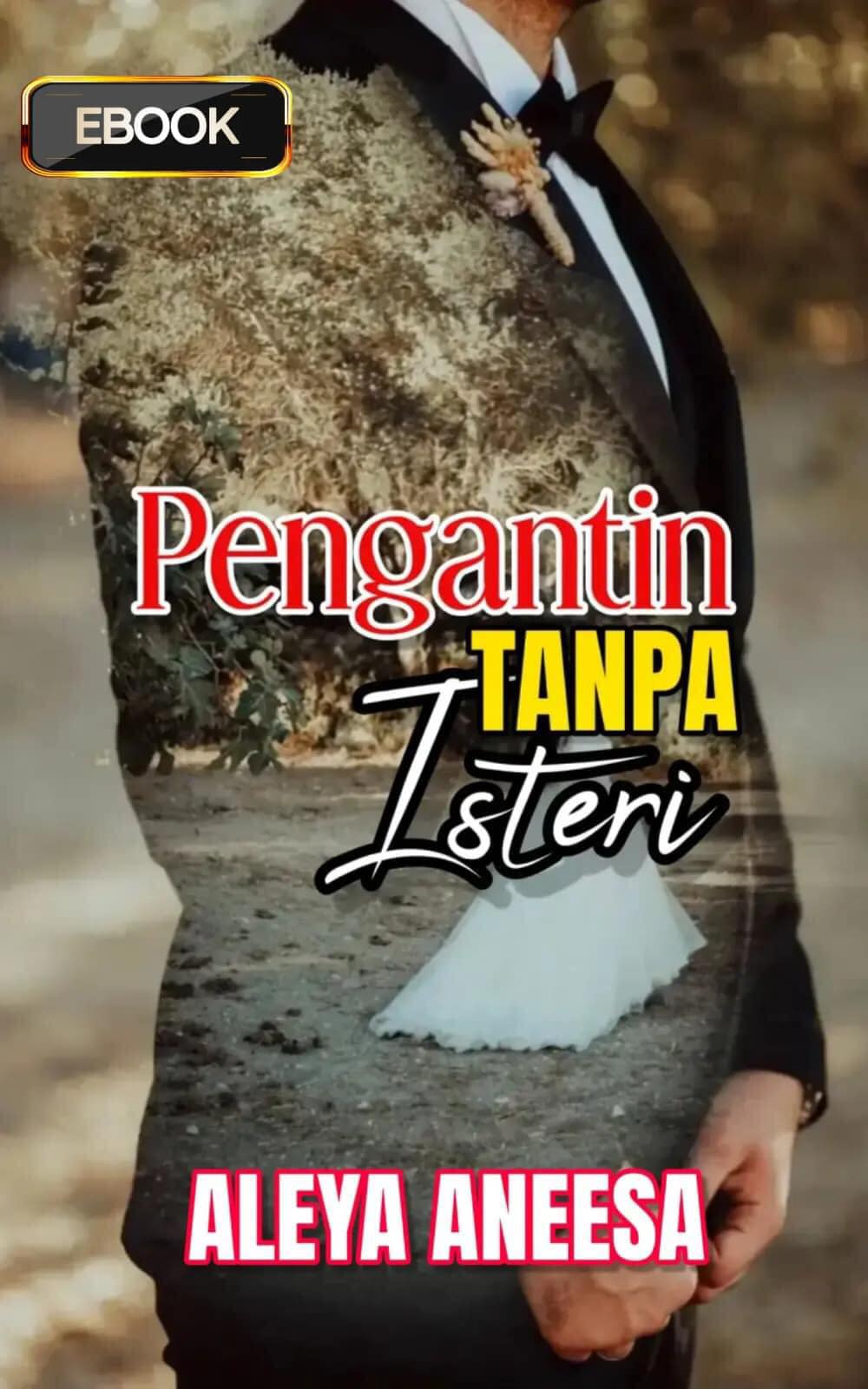 Pengantin Tanpa Isteri (ebook)