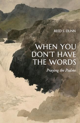 When You Don't Have the Words: Praying the Psalms (Paperback)