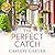 The Perfect Catch: Based on the Hallmark Channel Original Movie