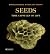 Seeds: Time Capsules of Life
