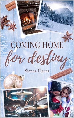 Coming home for destiny (Love in Alaska #4)