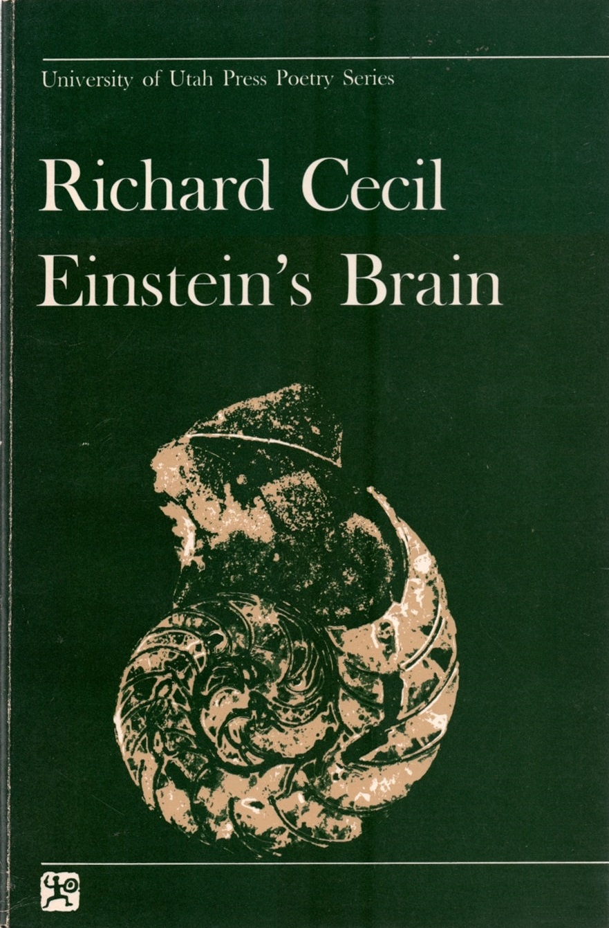 Einstein's Brain (Paperback)