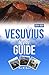 VESUVIUS TRAVEL GUIDE 2024-...