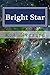 Bright Star (The Lightning Strike Trilogy Book 2)